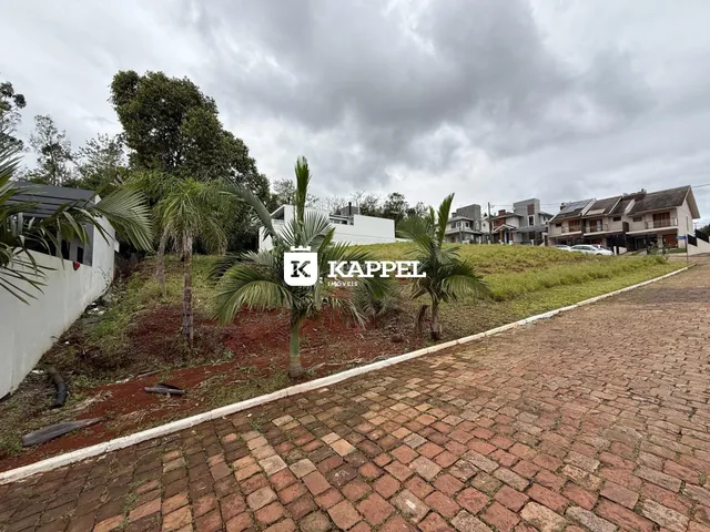 Vista externa de uma rua pavimentada com palmeiras e casas residenciais ao fundo.