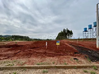 Terreno aberto de terra vermelha com vegetação ao fundo.