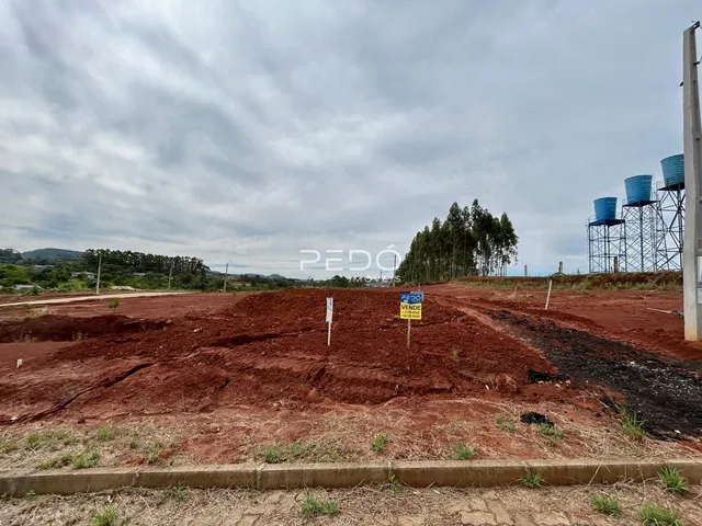 Terreno aberto de terra vermelha com vegetação ao fundo.