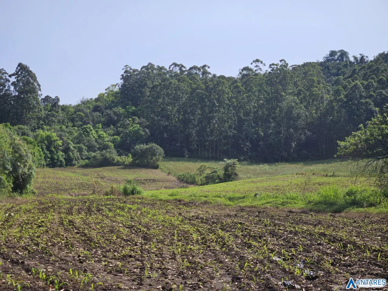 Área rural, foto 1