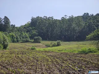 Área rural, foto 1