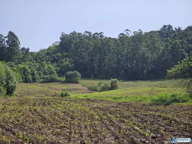 Área rural
