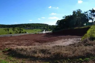 Vista de uma área de terreno aberto com vegetação rasteira.