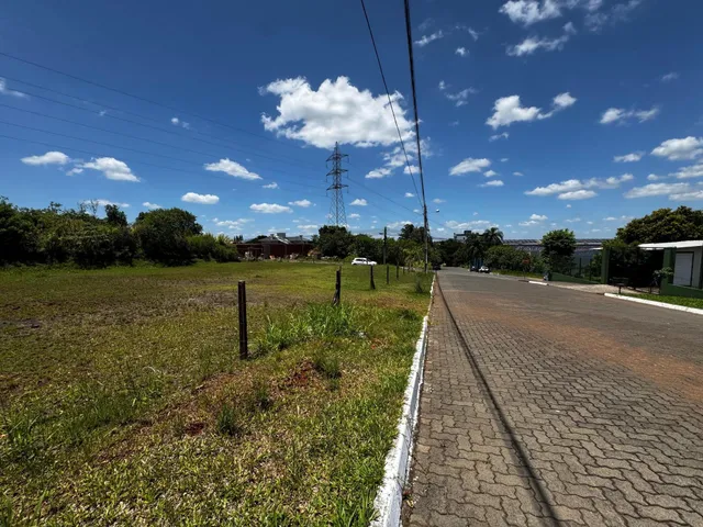 Vista externa de uma área gramada ao lado de uma estrada pavimentada.
