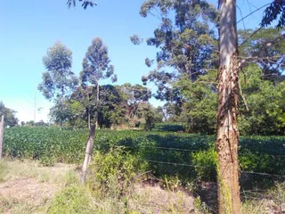 Área rural, foto 6