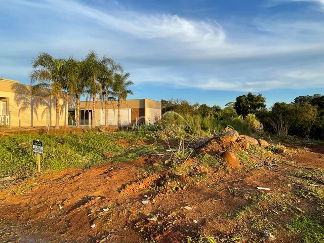 Vista externa da propriedade mostrando vegetação e solo seco na área frontal.