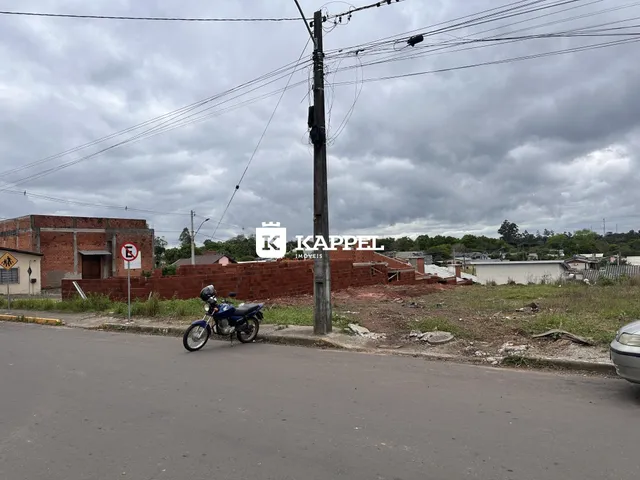 Terreno, foto 3
