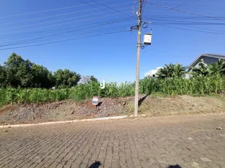 Vista externa da propriedade com vegetação e poste de utilidade.