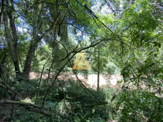 Área rural, foto 4