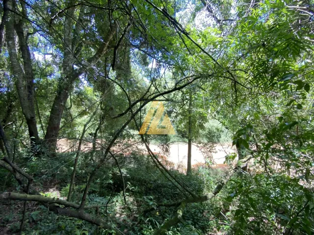 Área rural, foto 4