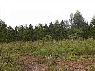 Terreno, foto 5