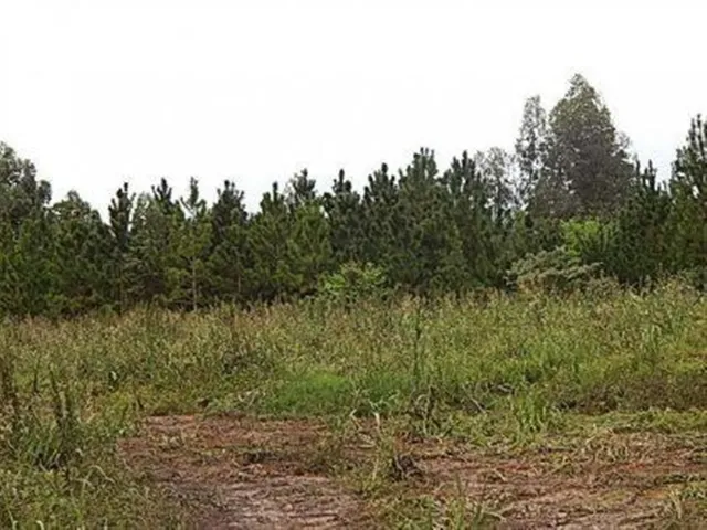 Terreno, foto 5