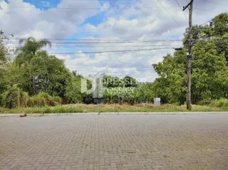 Vista externa de uma rua com vegetação ao fundo.