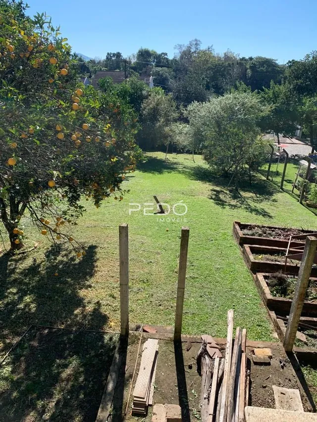 Um campo gramado com árvores e cercas de madeira na propriedade.