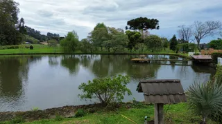 Área rural com 3 dormitórios, foto 8