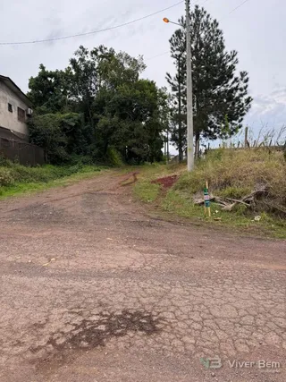 Terreno, foto 1
