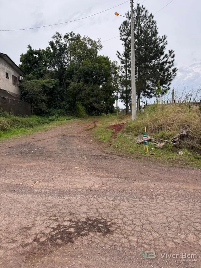 Terreno