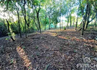Área rural, foto 9