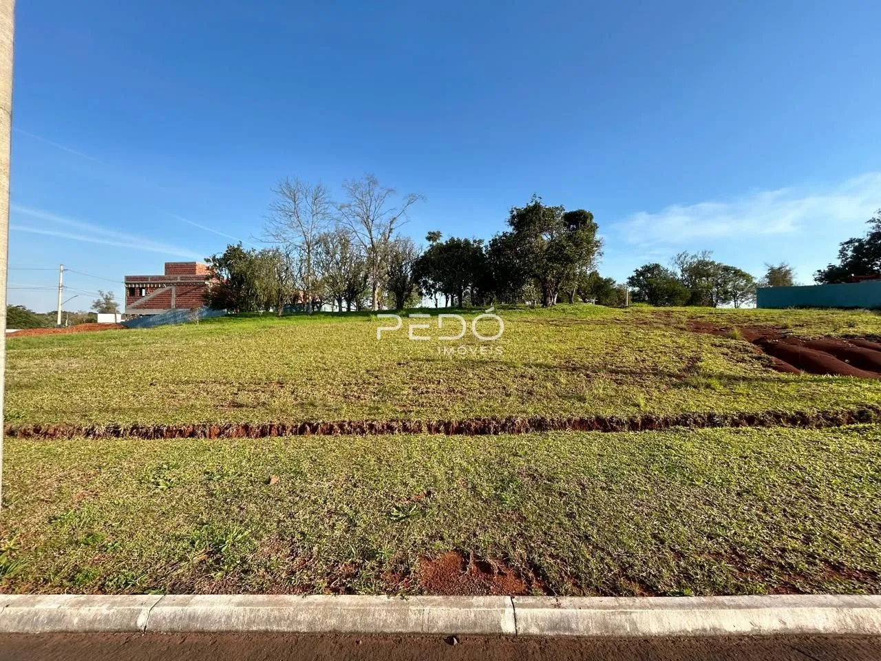 Vista de um terreno gramado com vegetação e uma construção ao fundo.