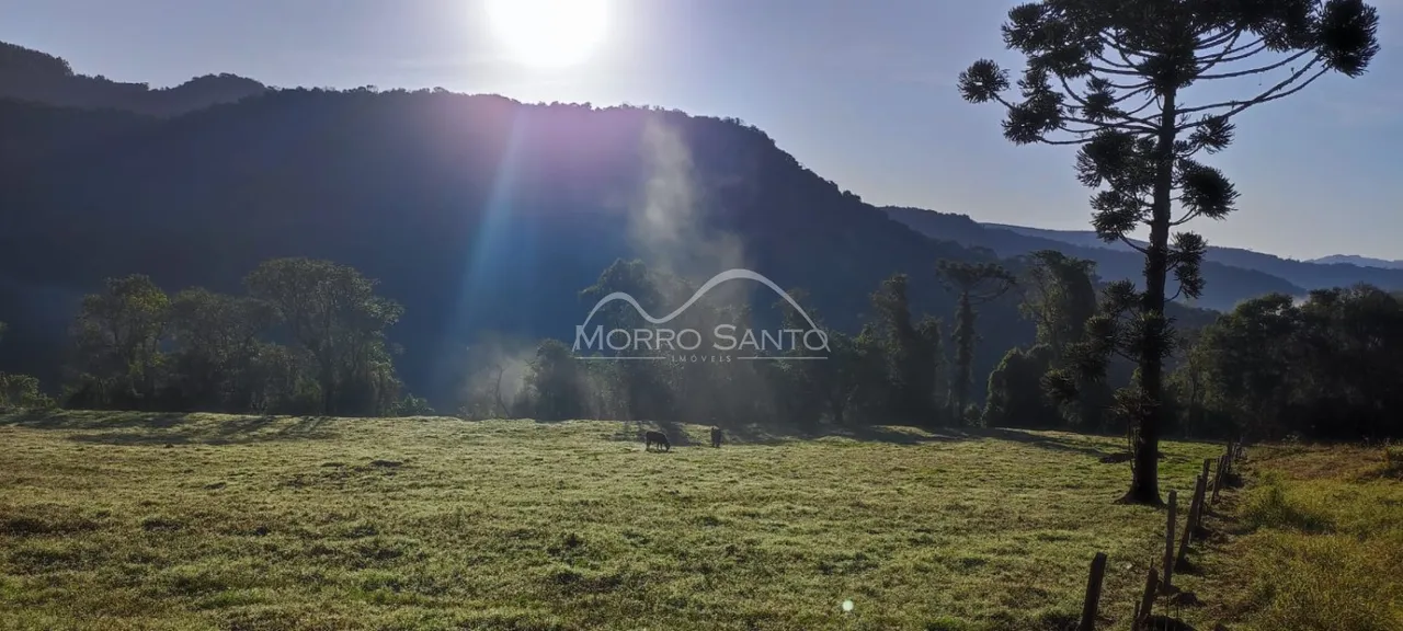 Paisagem de campo aberto com colinas ao fundo.