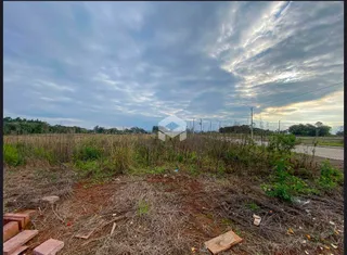 Vista externa de terreno com vegetação seca e grama alta em Lajeado.