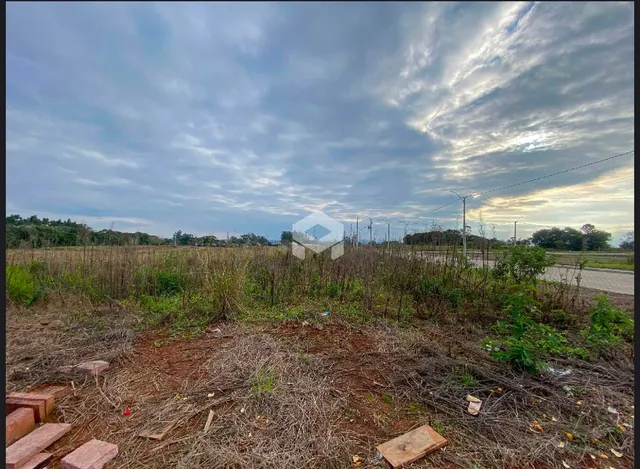 Vista externa de terreno com vegetação seca e grama alta em Lajeado.