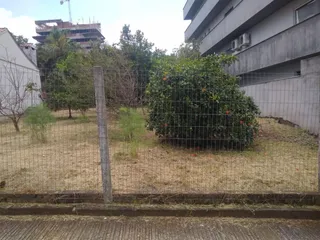 Terreno, foto 1