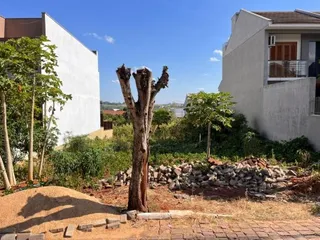 Terreno, foto 3