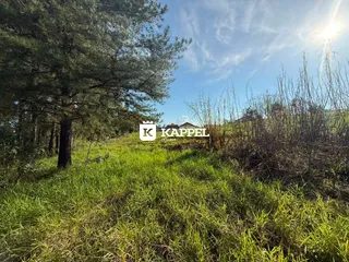 Vista externa de um campo com grama verde e vegetação ao ar livre.