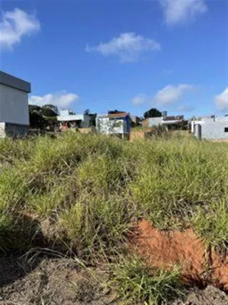 Terreno, foto 3