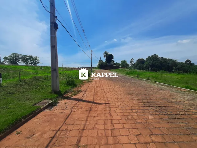 Foto de uma estrada de terra em uma área rural com vegetação ao redor.