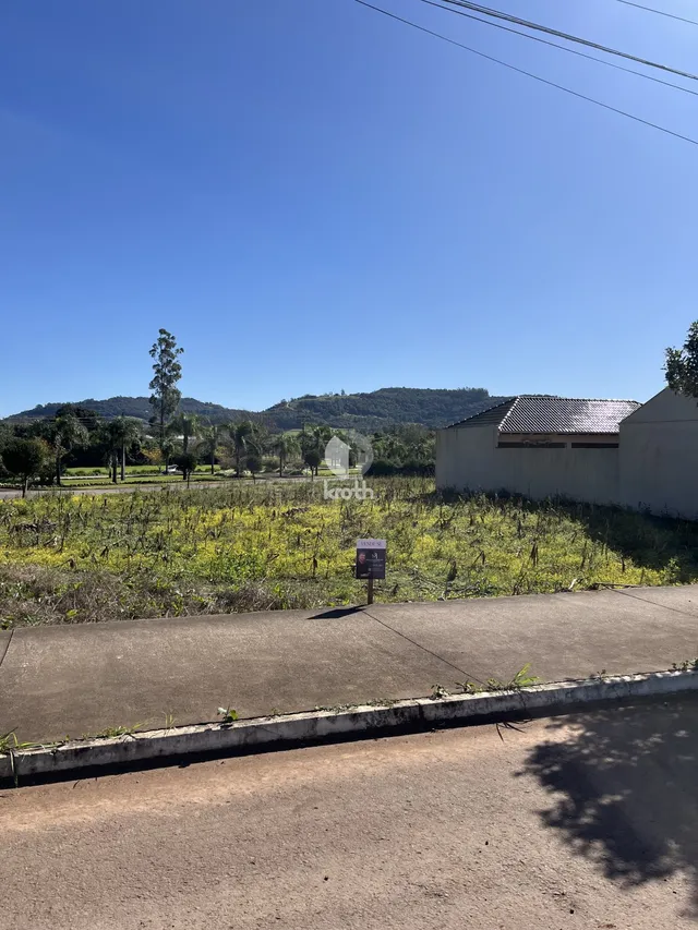Terreno, foto 2