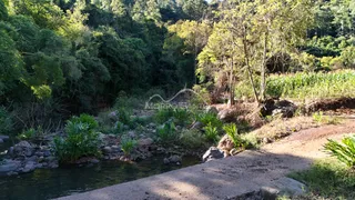 Paisagem de um rio com vegetação densa na propriedade.