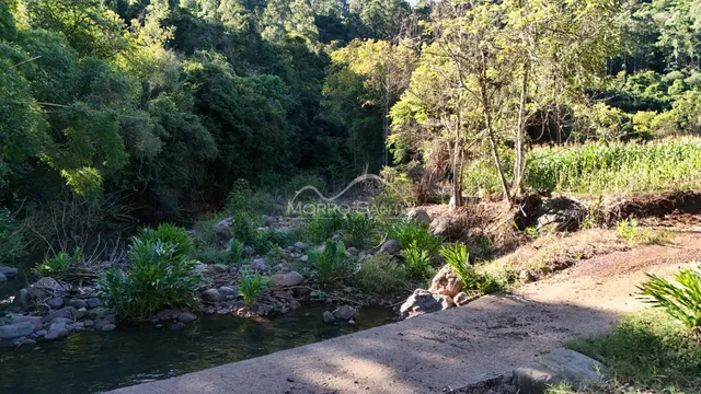 Paisagem de um rio com vegetação densa na propriedade.