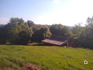 Paisagem de campo com vegetação densa e um terreno gramado.