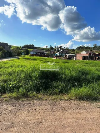 Terreno, foto 4