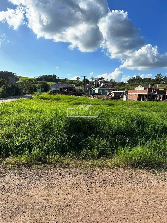 Terreno, foto 4