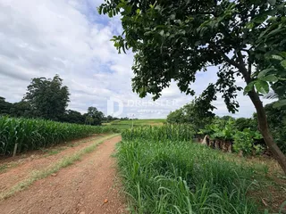 Área rural, foto 6