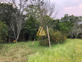 Área rural com 2 dormitórios, foto 9