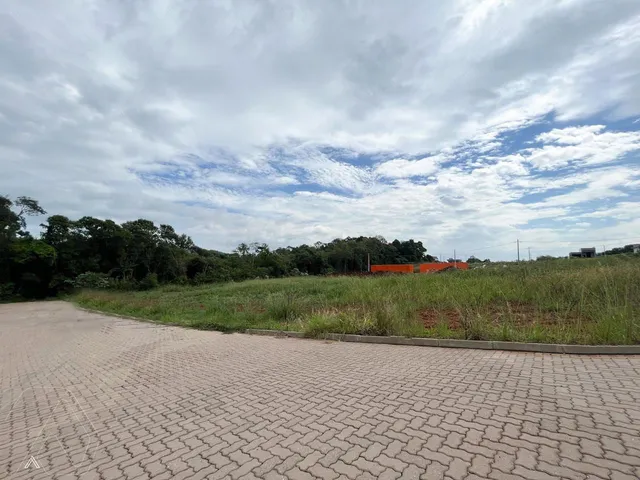 Terreno, foto 2