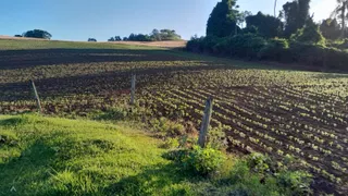 Área rural, foto 16