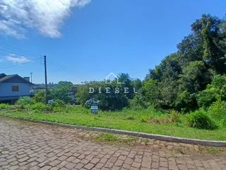 Vista externa da propriedade com vegetação e estrada no primeiro plano.