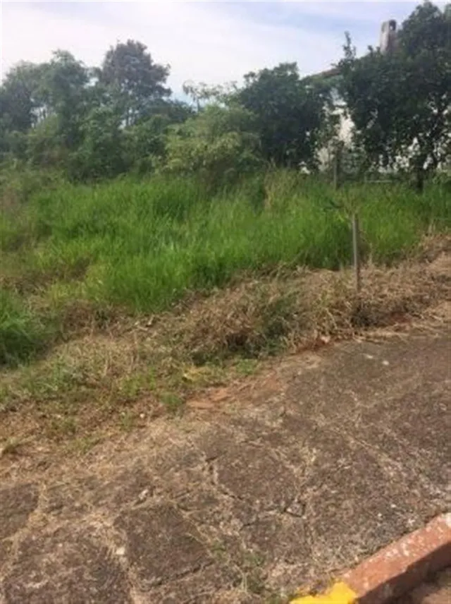 Terreno, foto 2