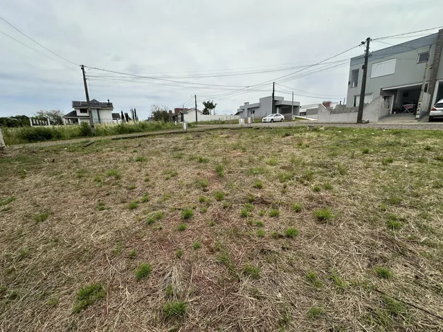 Vista externa de um terreno com vegetação seca e construções ao fundo.