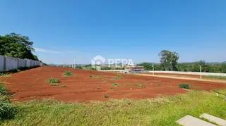 Casa com 3 dormitórios, foto 7
