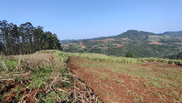 Área rural, foto 4