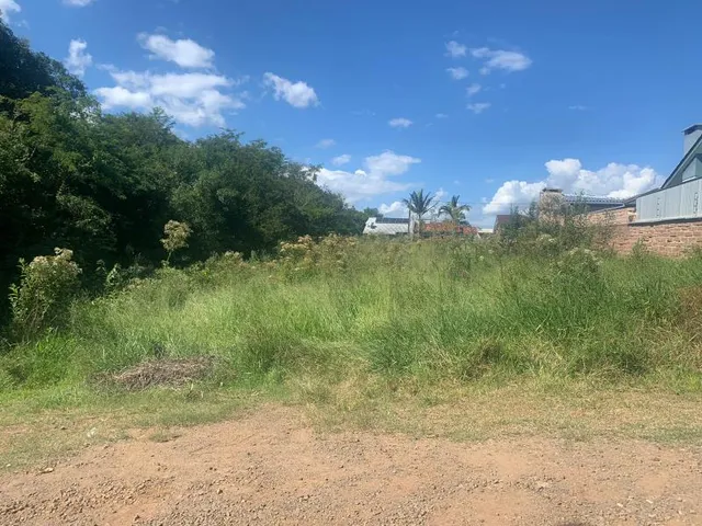 Terreno