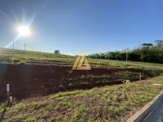 Terreno, foto 5
