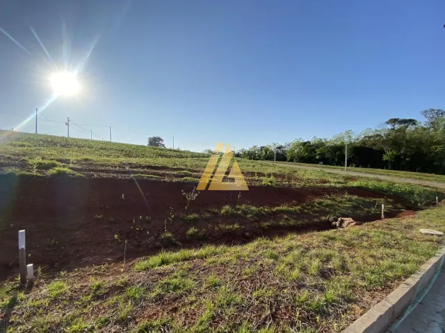 Terreno, foto 5