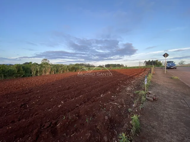 Paisagem de campo aberto com vegetação ao fundo sob um céu nublado.